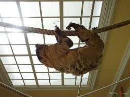 Tiergarten Schönbrunn am 23.03.2023